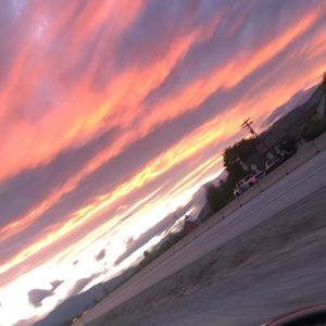 Meet your Posher, Sammy